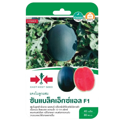 แตงโมซันแบล็คเอ็กแอลF1GG*600