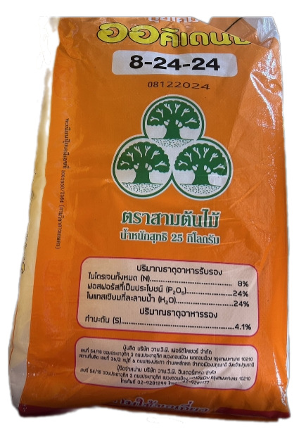 8-24-24สามต้นไม้25KG