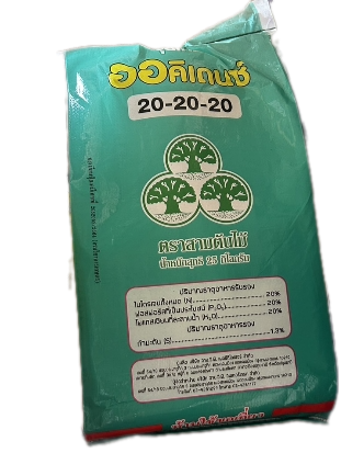 20-20-20สามต้นไม้25KG