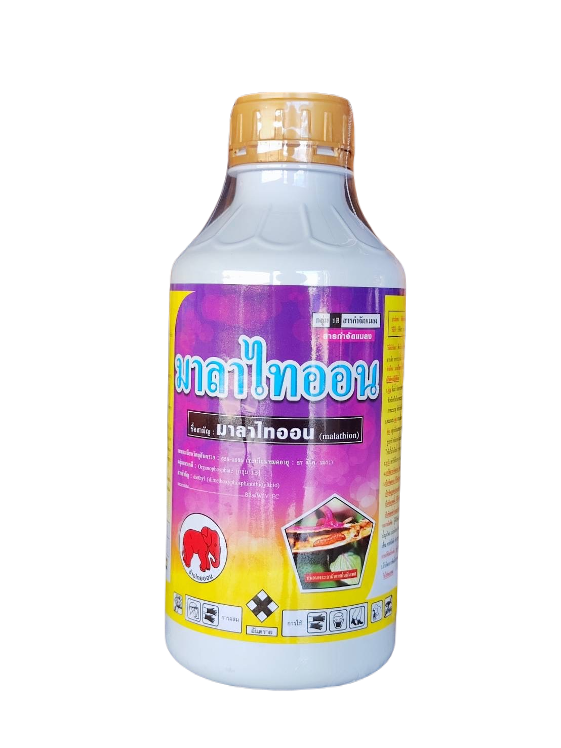 มาลาไทออนช้างแดง1L*12