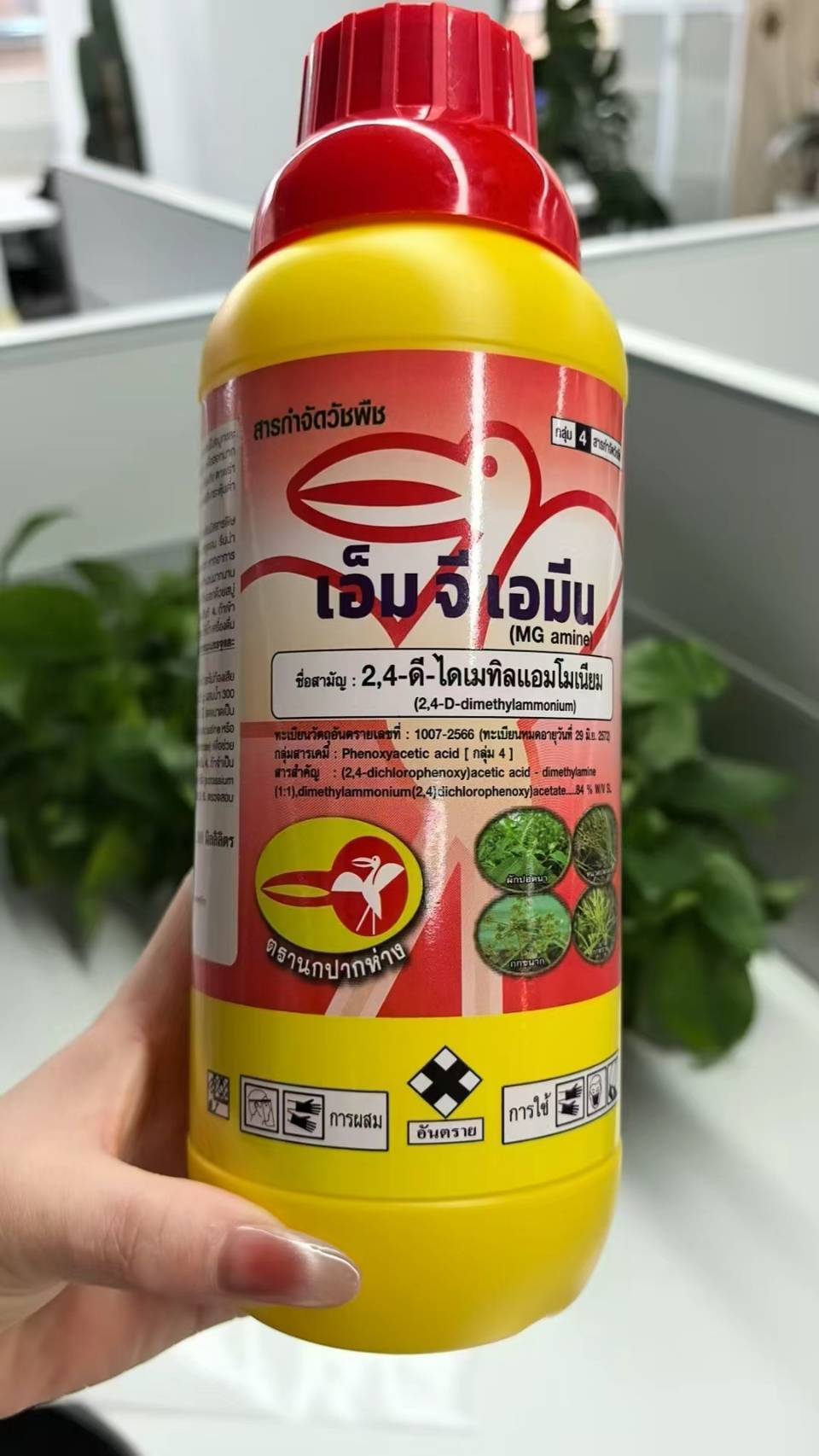 เอ็มจีเอมีนนกปากห่าง1L*20