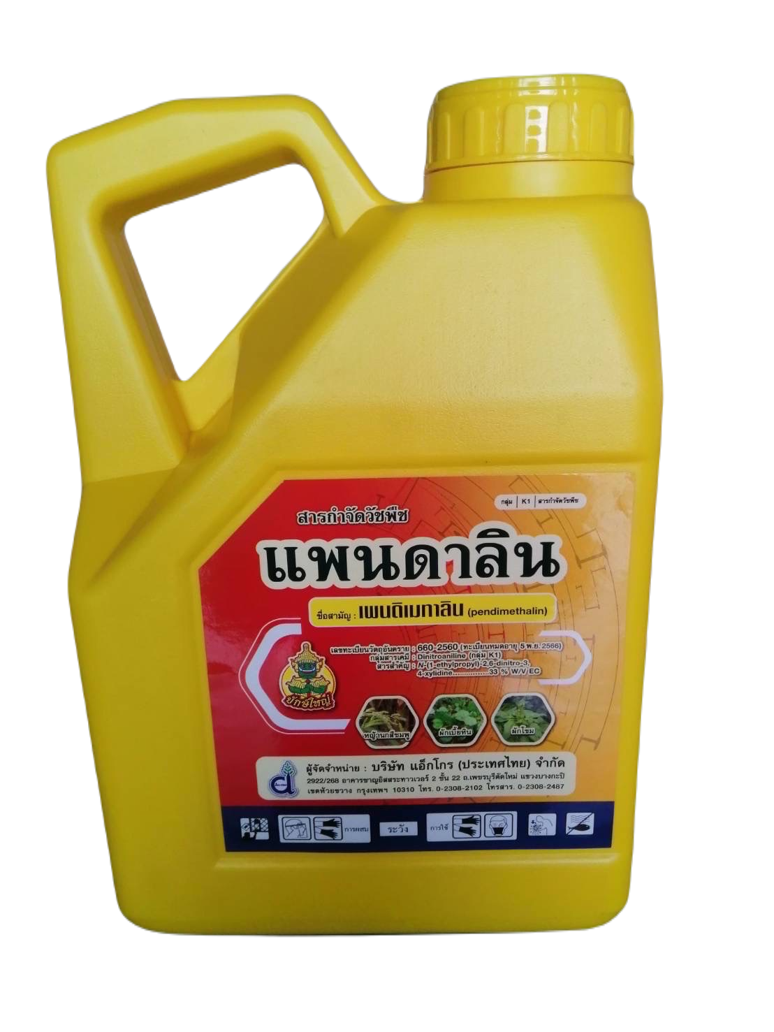 แพนดาลิน4L*6