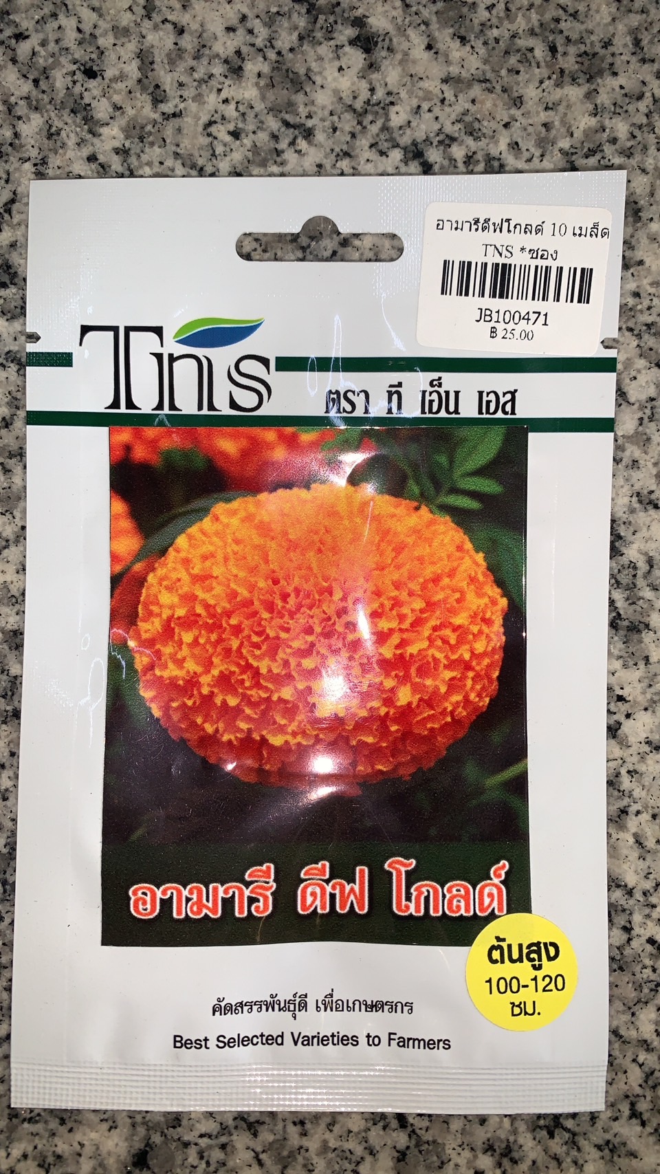 ต้นกล้าดาวเรืองอามารีดีฟโกลด์*105