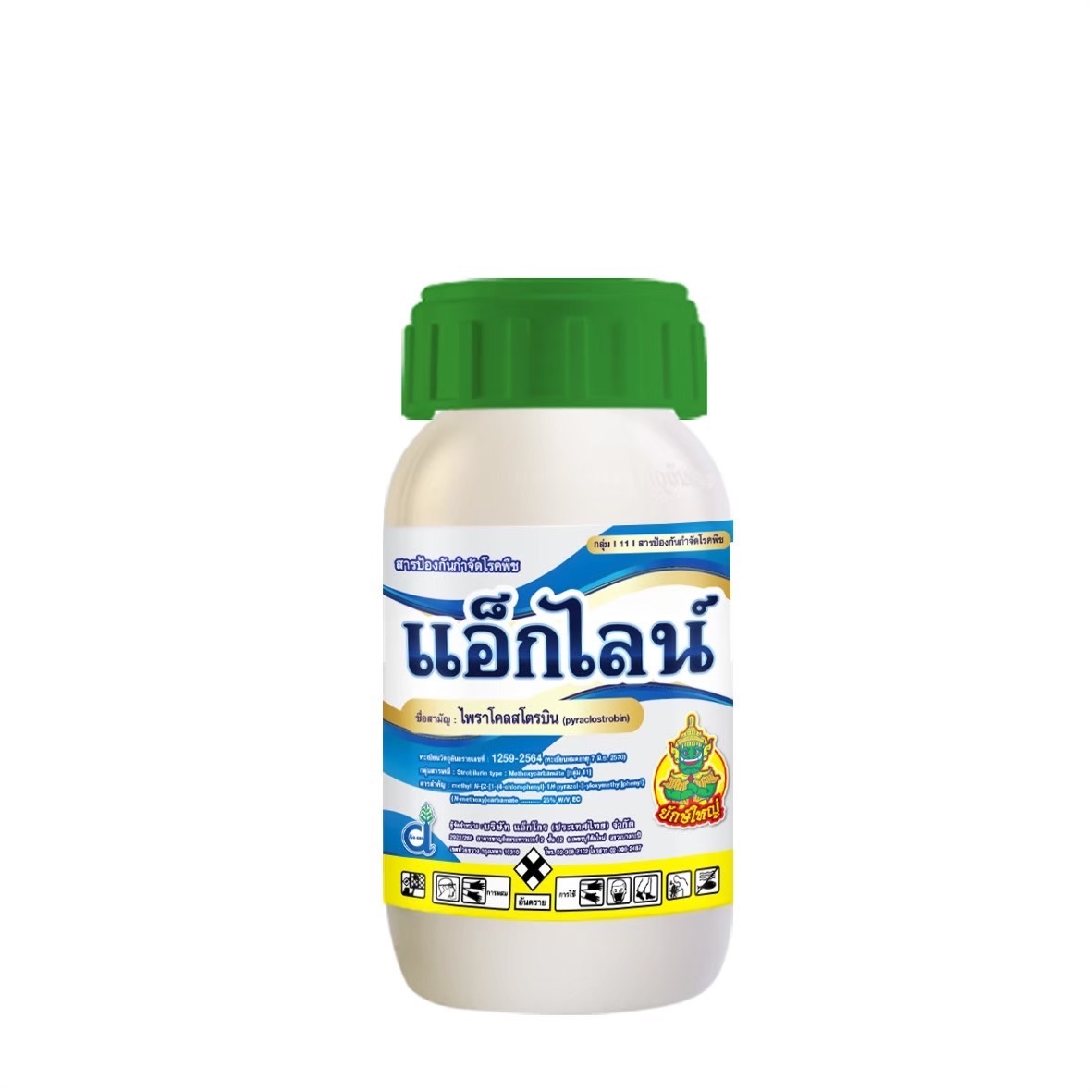 แอ็กไลน์250CC*24