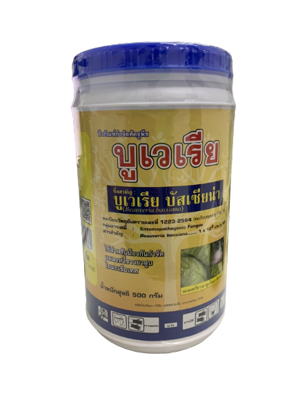 บูเวเรีย500G*24