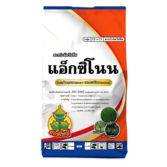 แอ็กซิโนนยักษ์ใหญ่1KG*18