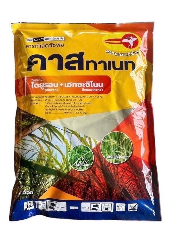 คาสทาเนทนกปากห่าง1KG*18