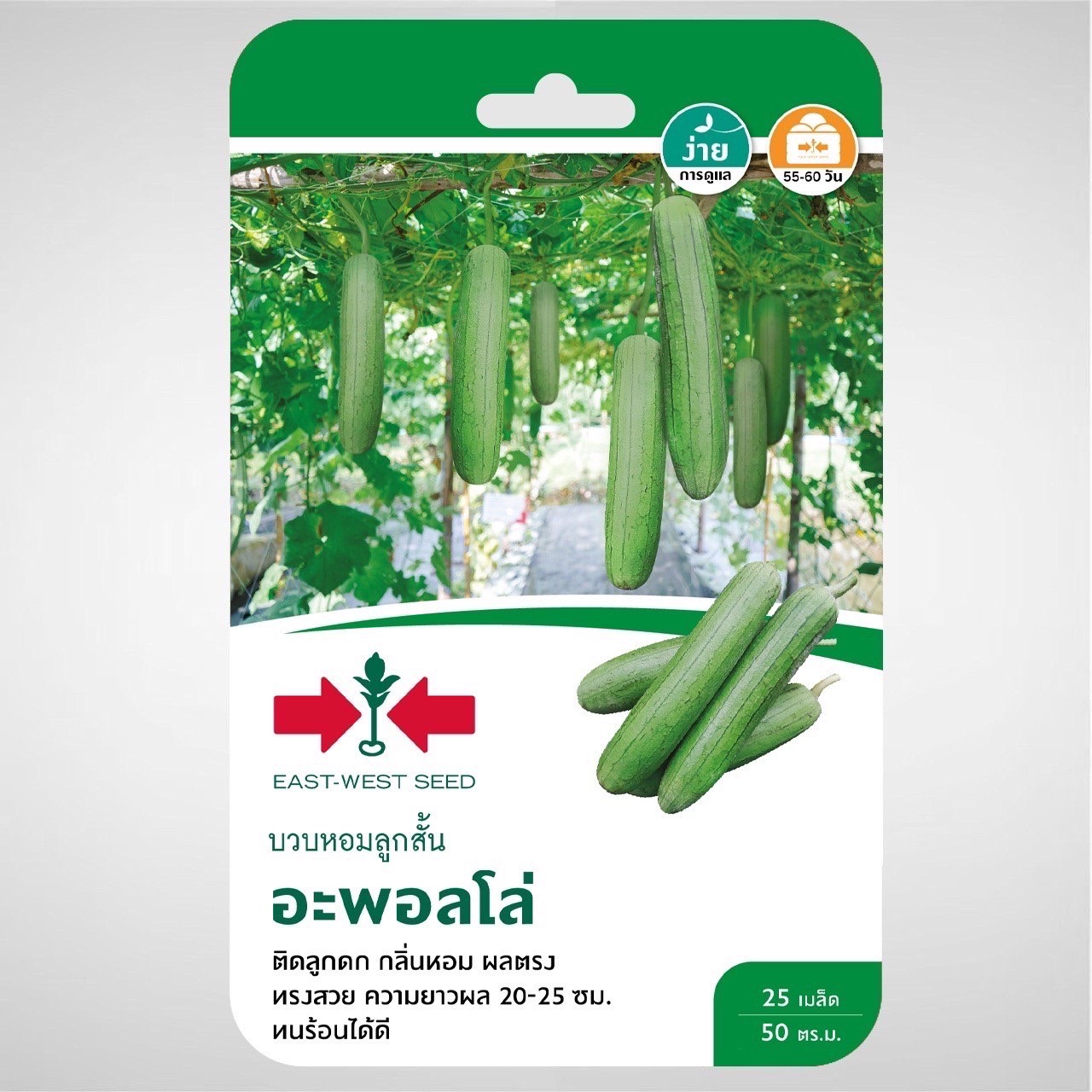 บวบหอมลูกสั้นอะพอลโล่OPศรแดงGG*600