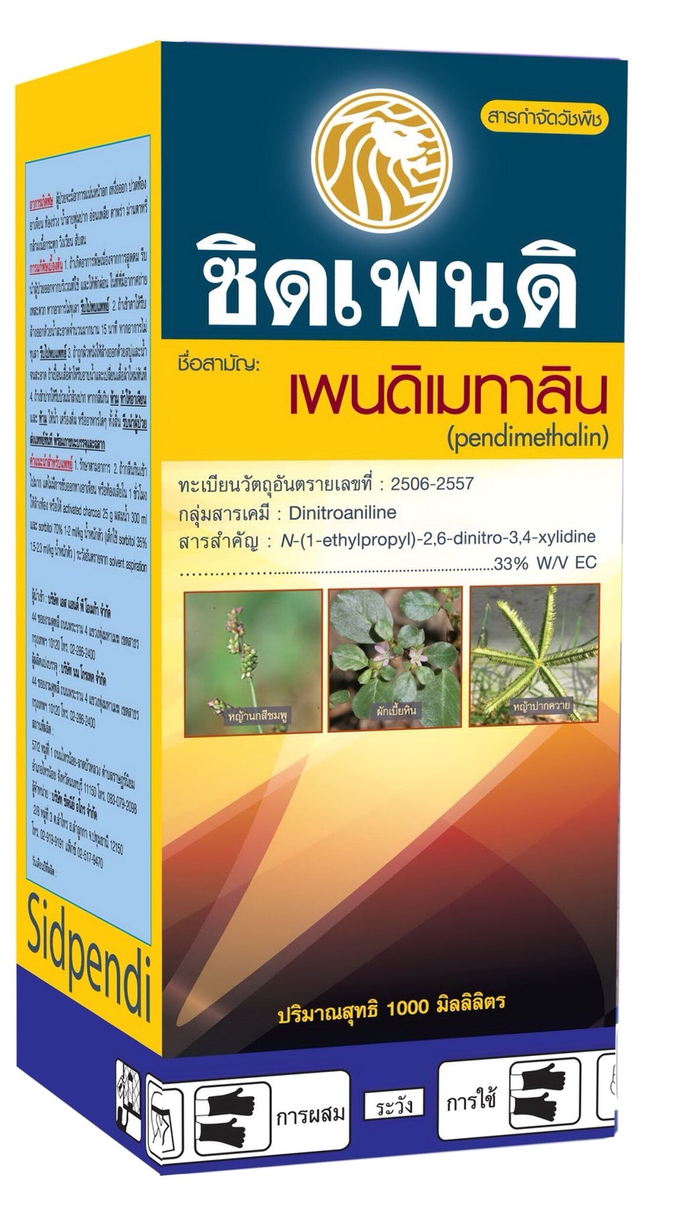 ซิดเพนดิซิดนีย์1L*12