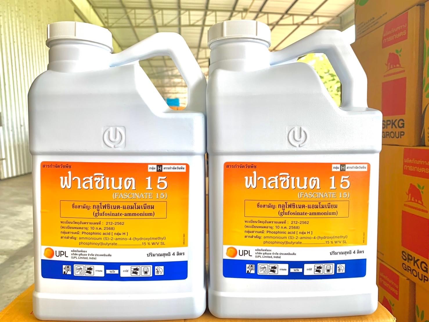 ฟาสซิเนต15 4L*4