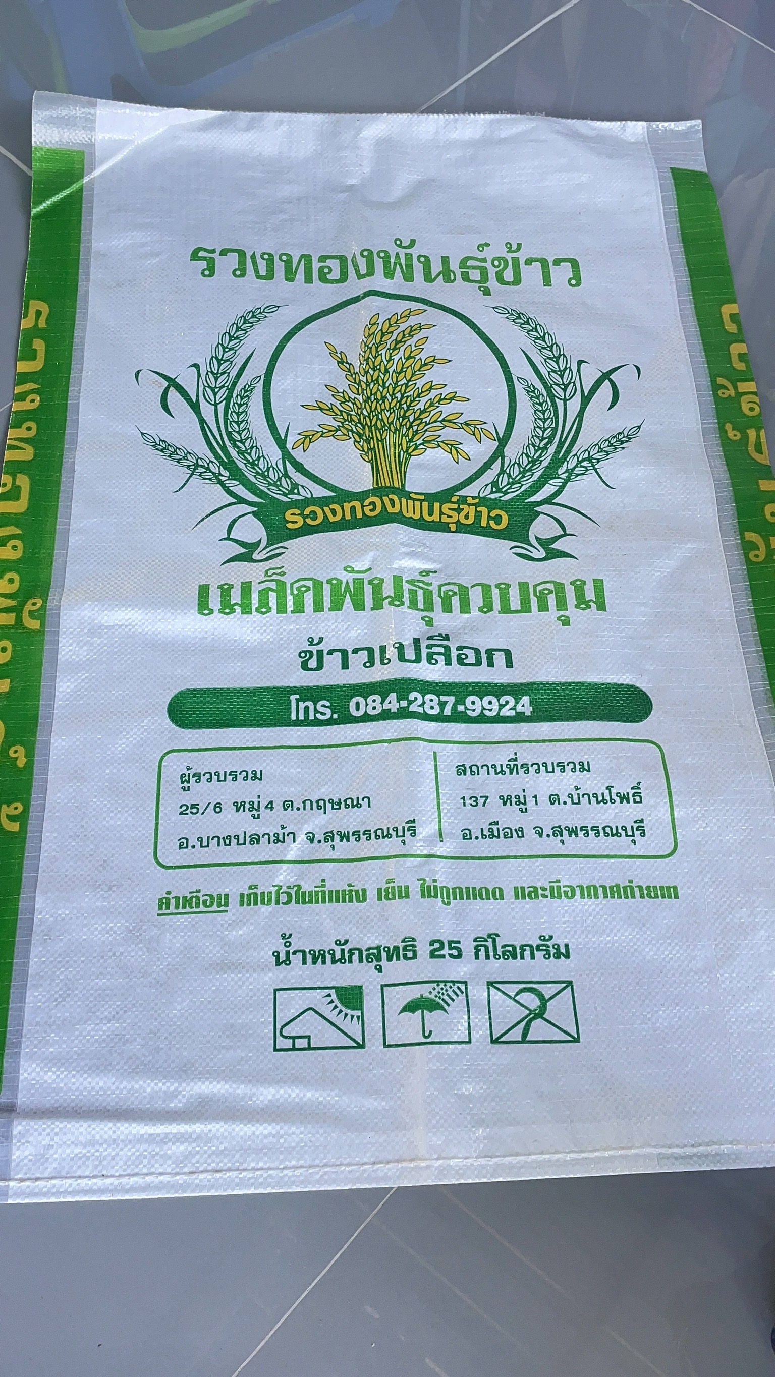 25/KGกข.49รวงทองพันธุ์ข้าว(เจ้า)