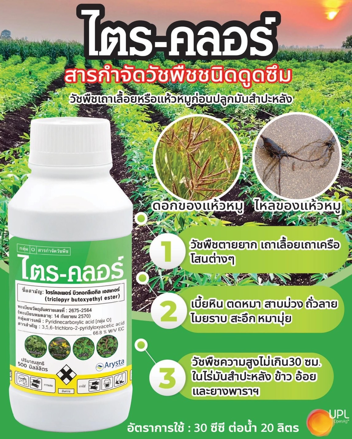 ไตร-คลอร์250CC*40