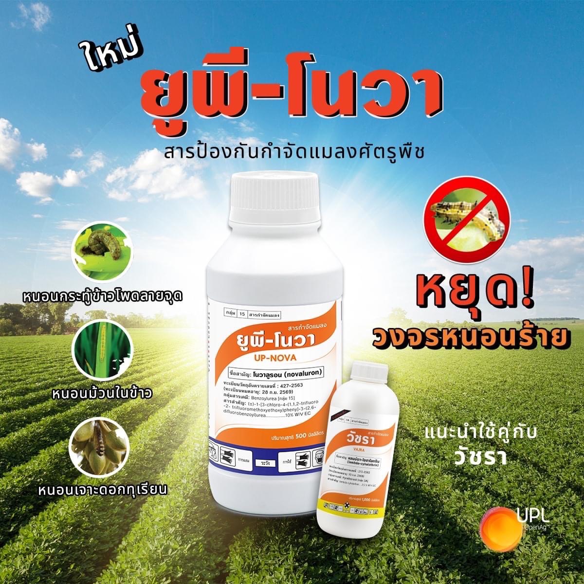 ยูพี-โนวา250ML*40