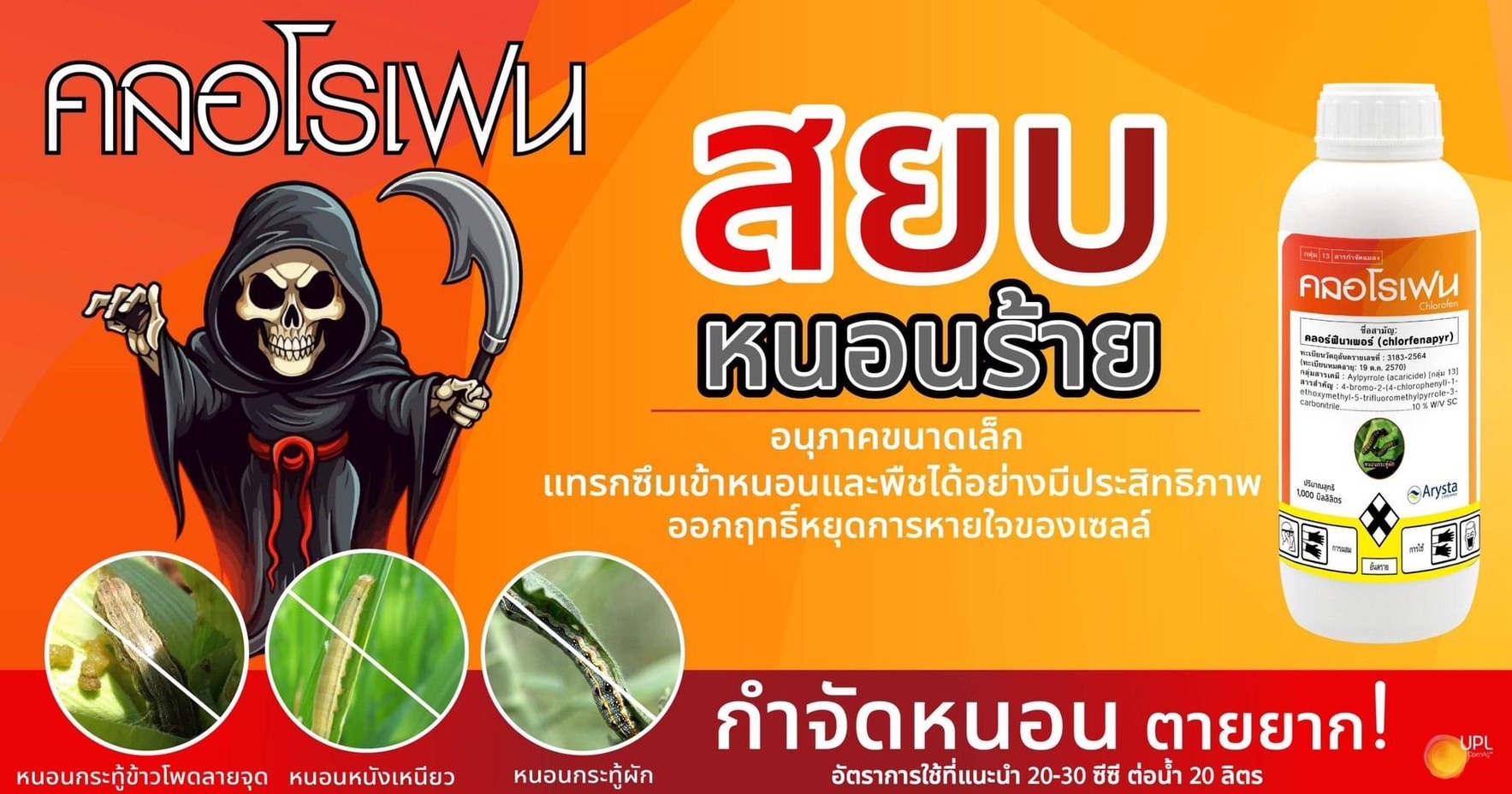 คลอโรเฟน500ML*24