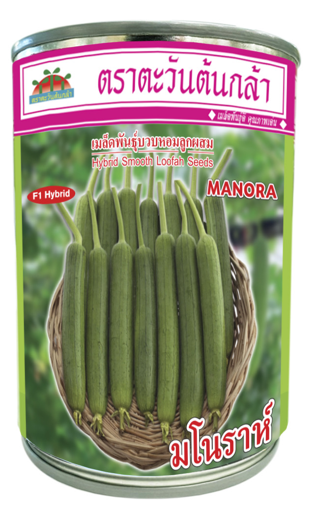 บวบหอมมโนราห์AV50G