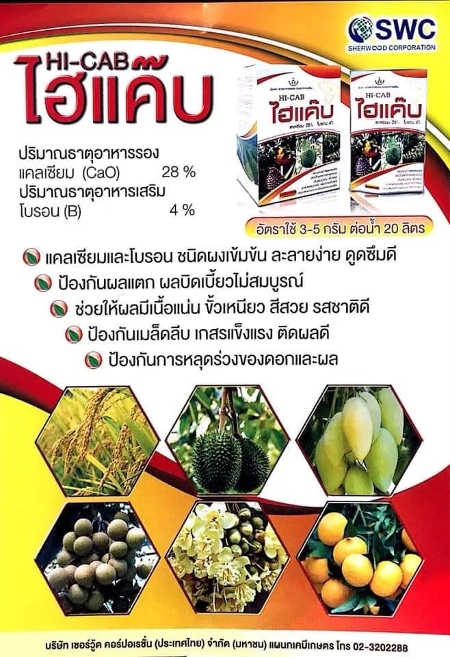 ไฮแค๊บ50G*200