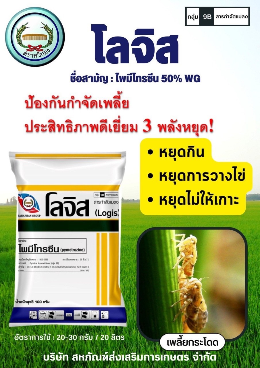 โลจิสหวีทอง200G*50