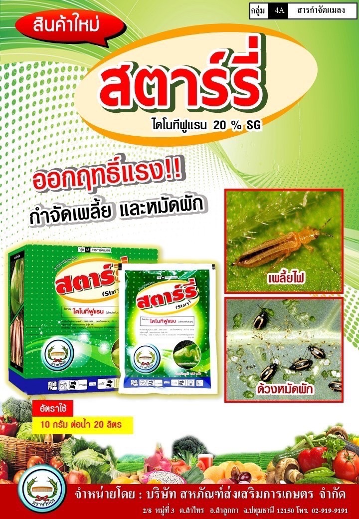 สตาร์รี่หวีทอง100G*120