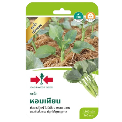 คะน้าหอมเทียนOPศรแดงGG*600