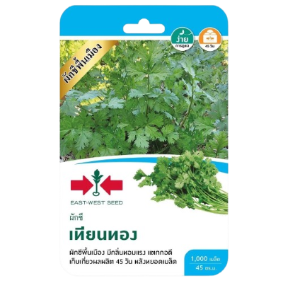 ผักชีเทียนทองOPศรแดงGG*300