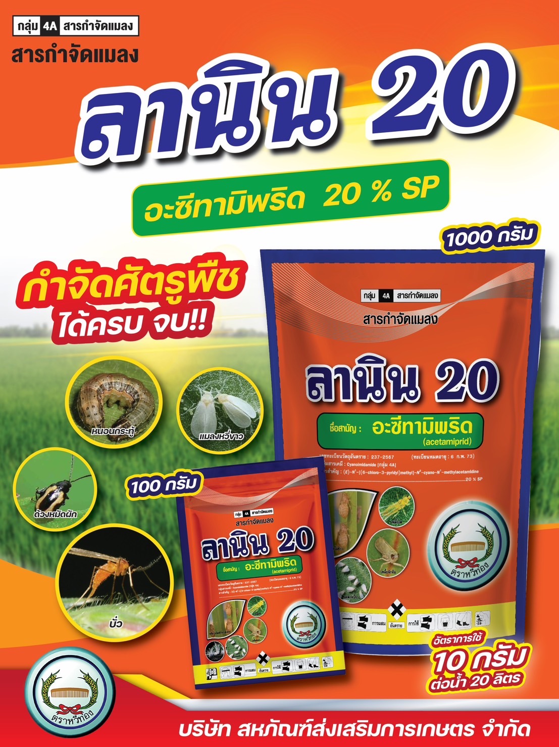 ลานิน20(เจ-ซีต้า)หวีทอง100G*100