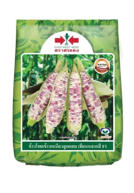 ขพขน.เทียนหลากสีพลัสศรแดง1KG*20