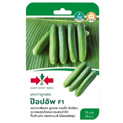 แตงกวาป๊อปอัพF1ศรแดงGG*600