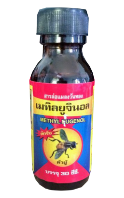 เมทิลยูจินอล(ขวด)30CC*24