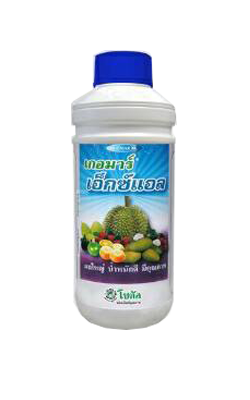 เกอมาร์เอ็กซ์แอล1L*12