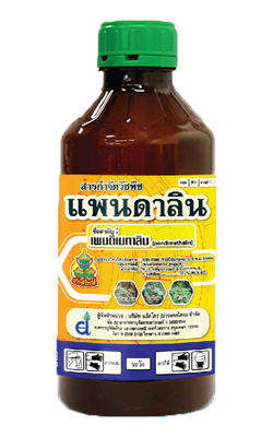 แพนดาลิน1L*12