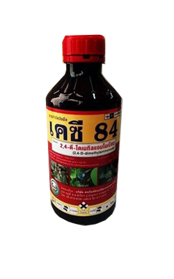 เคซี84หวีทอง1L*20