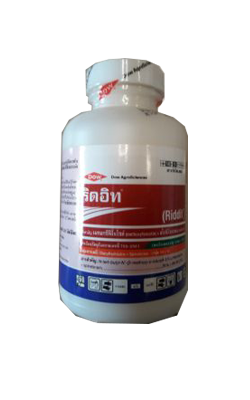 ริดอิท250CC*24