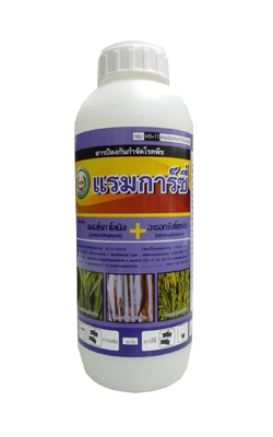 แรมการ์ซี่หวีทอง1L*12