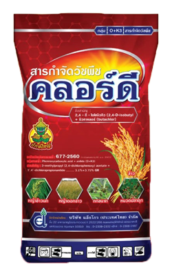 คลอร์ดียักษ์ใหญ่15KG
