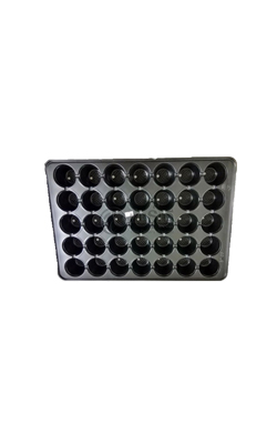 ถาดเพาะ32หลุมศรีสยาม*100