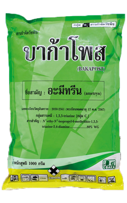 บาก้าโพส1KG*12