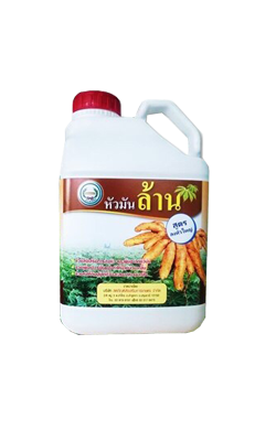 หัวมันล้านหวีทอง5L*4
