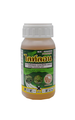 ไลท์ลอน250CC*24