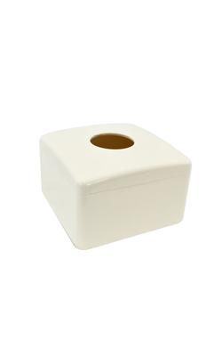 กล่องใส่ทิชชู่คละแบบ