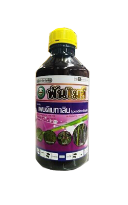 พันไมล์หวีทอง1L*12