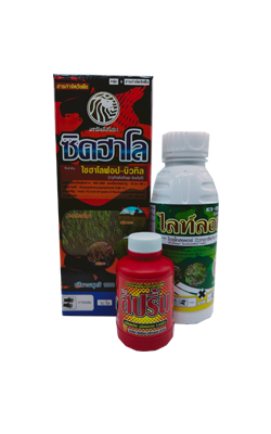 เคอร์ฟิวชุดเล็ก*12