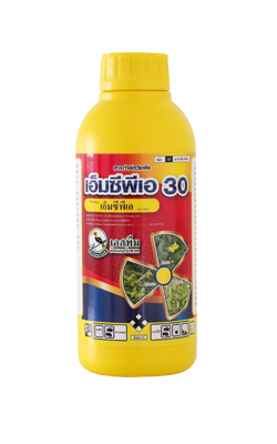 เอ็มซีพีเอ30เอสทีม1L*20