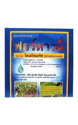 ฟอร์ดาวนี่250G*24