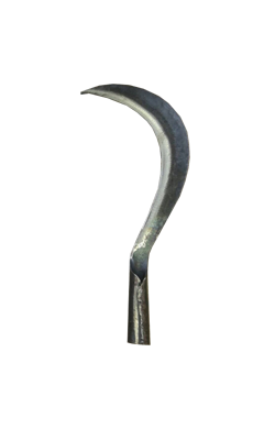 เคียวปากปลาหลด