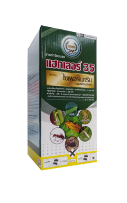 แฮกเลอร์35%หวีทอง500CCสูตรเย็น*12