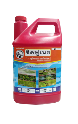 ซิดฟูเนต4L*6