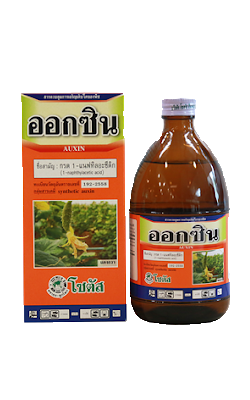 ออกซิน500CC*12