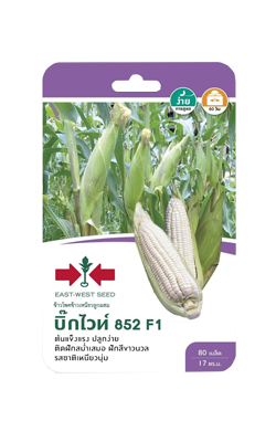 ขพขน.บิ๊กไวท์852F1ศรแดงGG*300