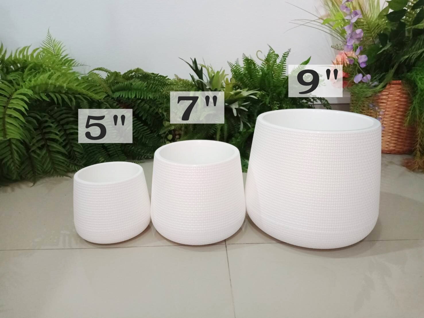 กถ.เบลล่า5"