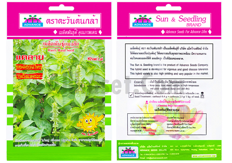 แมงลักแคลายAV(V34)